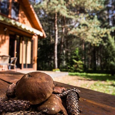 Domek Pod Klonem Zary  Bagian luar foto