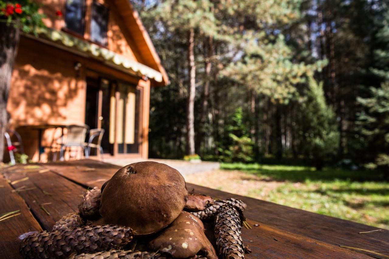Domek Pod Klonem Zary  Bagian luar foto