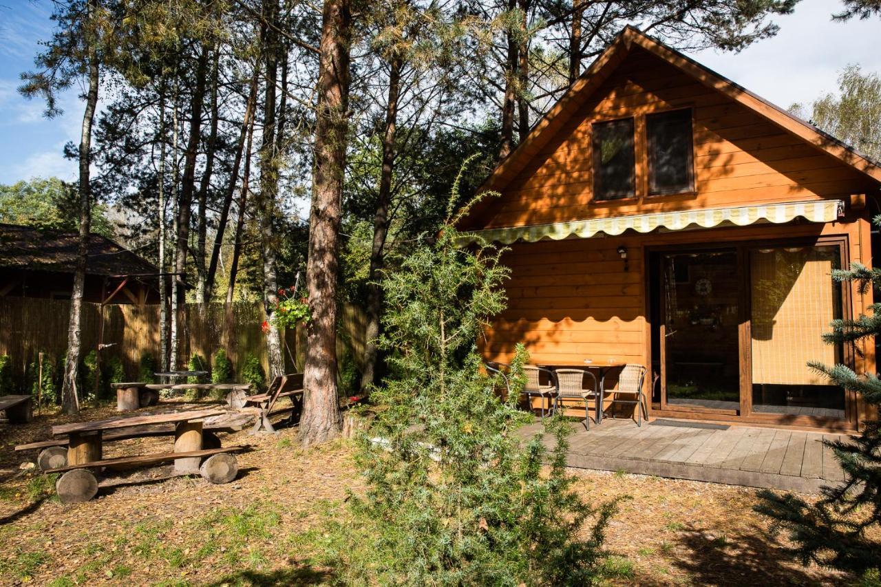 Domek Pod Klonem Zary  Bagian luar foto